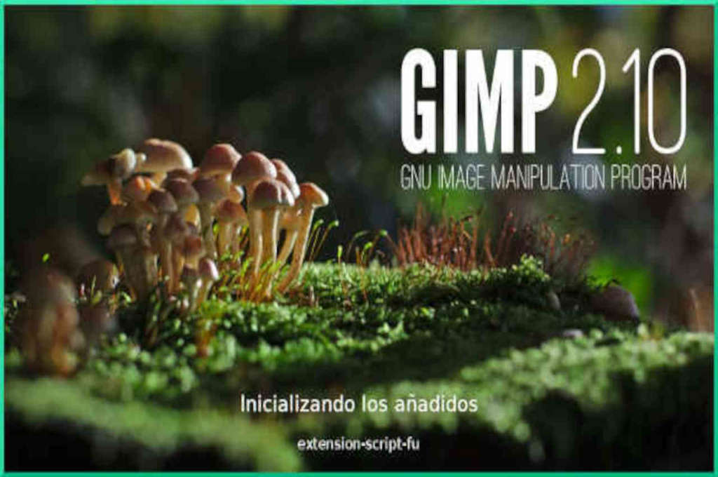 Lee más sobre el artículo Optimización y galería de imágenes