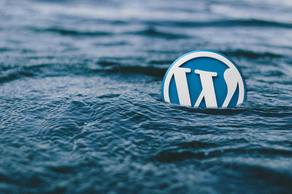 Lee más sobre el artículo Decidí pasarme a WordPress, aunque por poco renuncio.