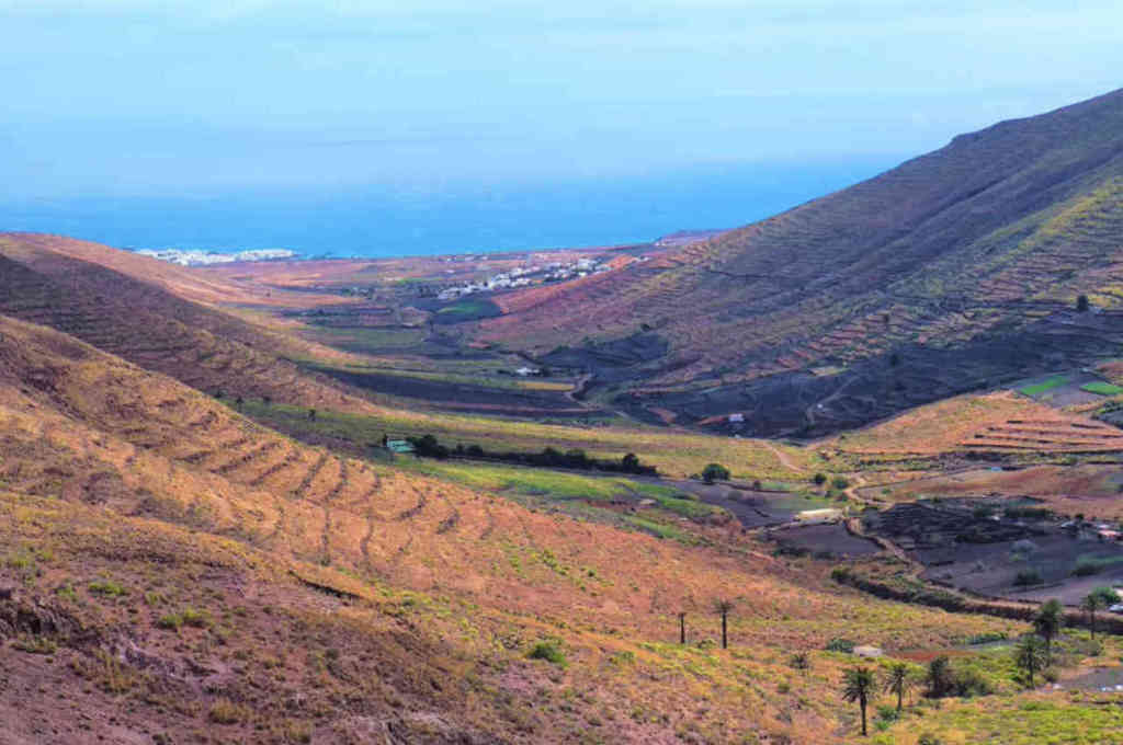 Lee más sobre el artículo Paseo 2 por el Norte de Lanzarote: Punta Mujeres, Haría, Tabayesco y Arrieta